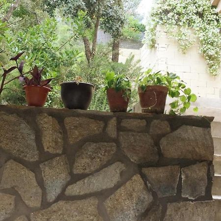 Casa Rural Lago Bolarque Albalate De Zorita ภายนอก รูปภาพ