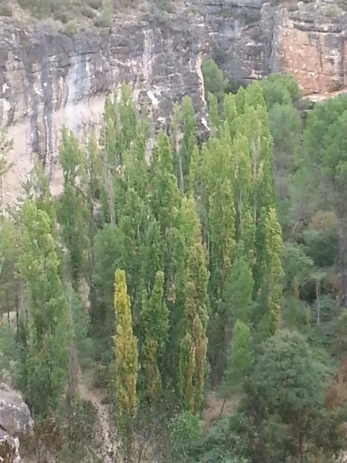 Casa Rural Lago Bolarque Albalate De Zorita ภายนอก รูปภาพ